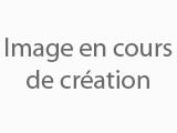 Belon immobilier